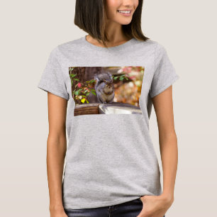 Camiseta de ardilla mendigando