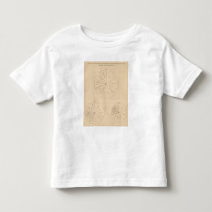 Camiseta De Bebé 191 productos manufacturados 1880-1900 del valor