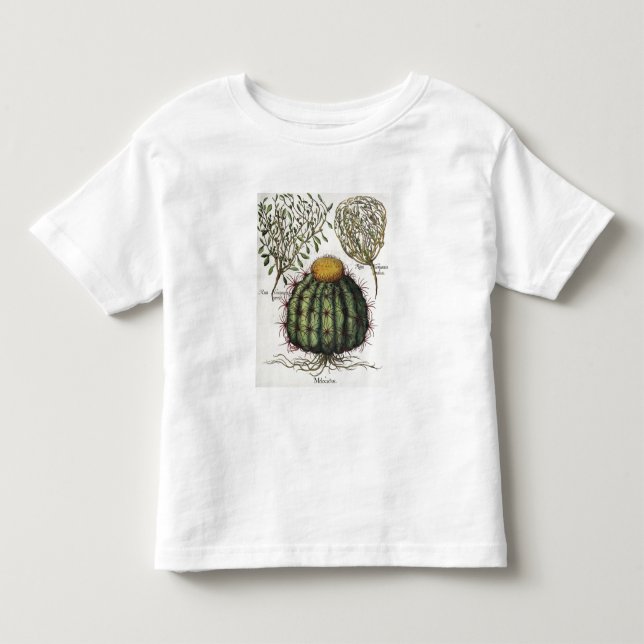 Camiseta De Bebé 1.Melocactus; aperta de 2.Rosa Hiericontea; 3.Rosa (Anverso)