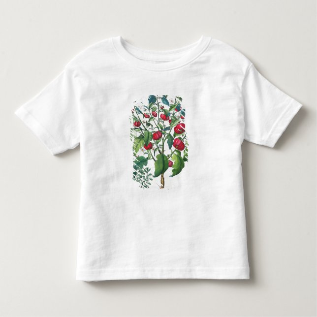 Camiseta De Bebé 1.Solanum Pomiferum; 2.Amaracus vulgaris, de (Anverso)
