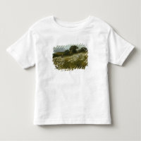 A través de los campos