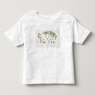 Camiseta De Bebé Abedul (dejado) y muérdago (derecho), fig. 9 y 10