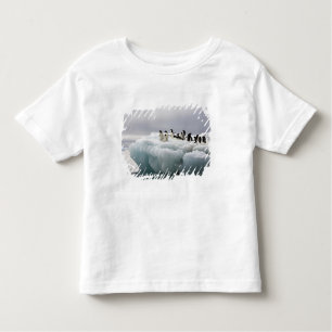 Camiseta De Bebé Adelie Penguin Pygoscelis adeliae),