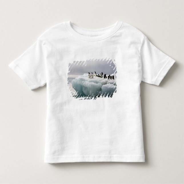 Camiseta De Bebé Adelie Penguin Pygoscelis adeliae), (Anverso)