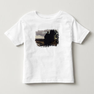 Camiseta De Bebé Adiós de la reina Isabel a Transilvania, 1863