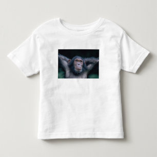 Camiseta De Bebé África, África Oriental, Tanzania, Parque Nacional