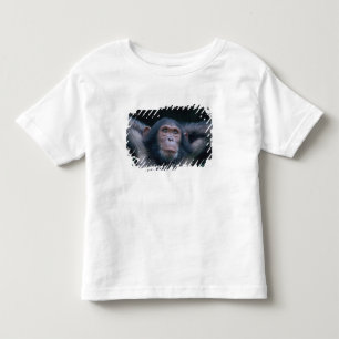 Camiseta De Bebé África, África Oriental, Tanzania, Parque Nacional
