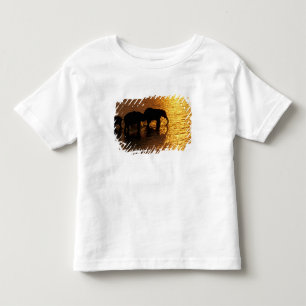 Camiseta De Bebé África, Botsuana, Delta del Okavango. Africano