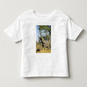 Camiseta De Bebé África, Botsuana, Delta del Okavango. Africano 2