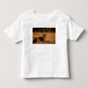 Camiseta De Bebé África, Botsuana, Delta del Okavango. León (Panthe
