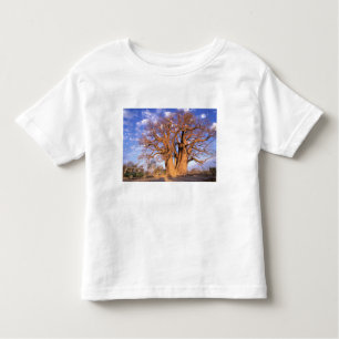 Camiseta De Bebé África, Botsuana, Delta Okavango. Baobab