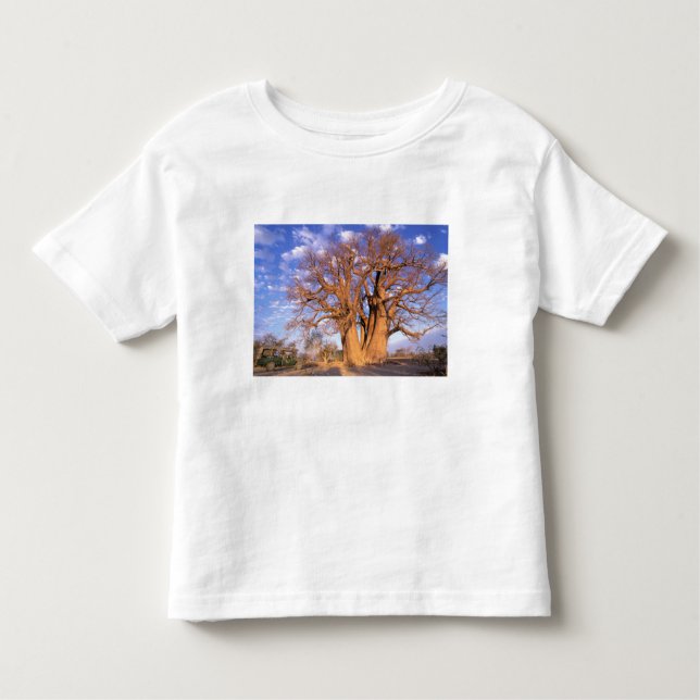 Camiseta De Bebé África, Botsuana, Delta Okavango. Baobab (Anverso)