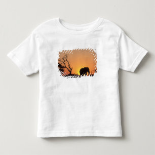 Camiseta De Bebé África, Botsuana, Parque Nacional Chobe, Atardecer