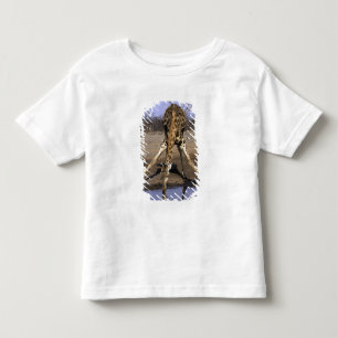 Camiseta De Bebé África, Botsuana, Parque Nacional Chobe, Jirafa