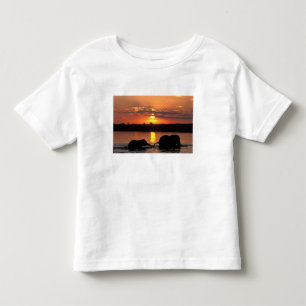 Camiseta De Bebé África, Botsuana, Parque Nacional Chobe, Manada