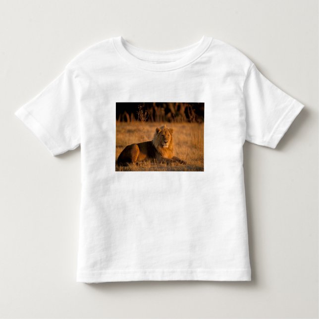 Camiseta De Bebé África, Botswana, Delta del Okavango. León (Panthe (Anverso)