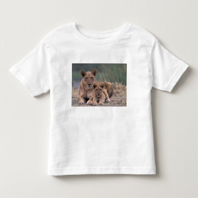 Camiseta De Bebé África, Botswana, Delta del Okavango. Leones (Anverso)
