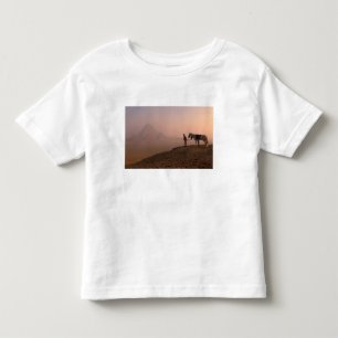 Camiseta De Bebé África, Egipto, El Cairo, Giza, pirámides de Giza