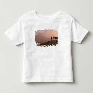 Camiseta De Bebé África, Egipto, El Cairo, Giza, pirámides de Giza 