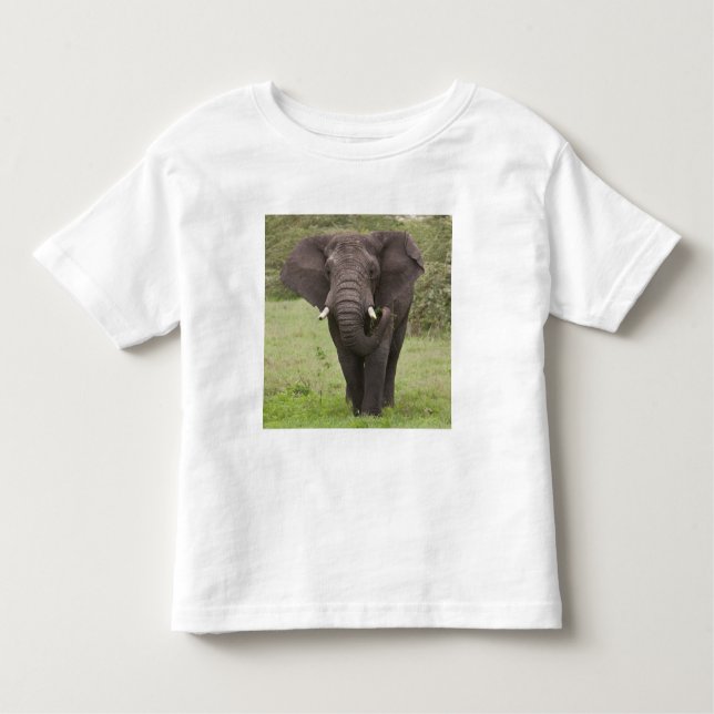 Camiseta De Bebé África: Elefante tanzano en el cráter del Ngorongo (Anverso)