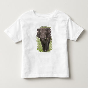 Camiseta De Bebé África: Elefante tanzano en el cráter del Ngorongo