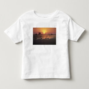 Camiseta De Bebé África, Kenia, Amboseli NP. Las cebras caminan hac