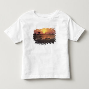 Camiseta De Bebé África, Kenia, Amboseli NP. Las cebras caminan hac