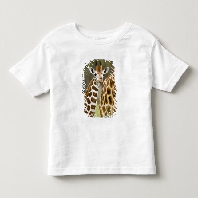 Camiseta De Bebé África. Kenia. El bebé de Rothschild Giraffe (Anverso)