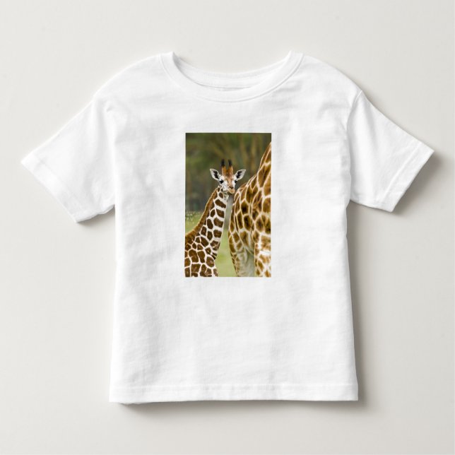Camiseta De Bebé África. Kenia. El bebé de Rothschild Giraffe (Anverso)