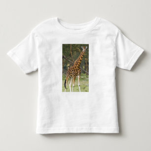 Camiseta De Bebé África. Kenia. Giraffe de Rothschild en el lago 2