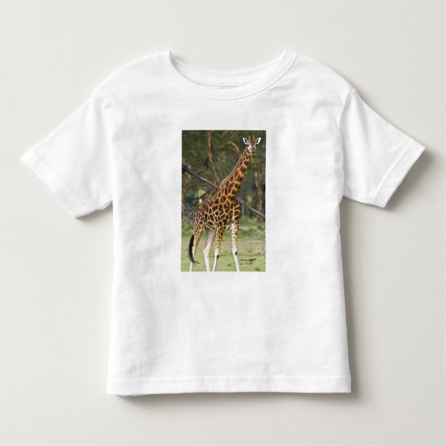 Camiseta De Bebé África. Kenia. Giraffe de Rothschild en el lago 2 (Anverso)
