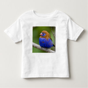 Camiseta De Bebé África. Kenia. Granadero púrpura