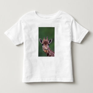 Camiseta De Bebé África, Kenia, Impala Ranch. Reticulada