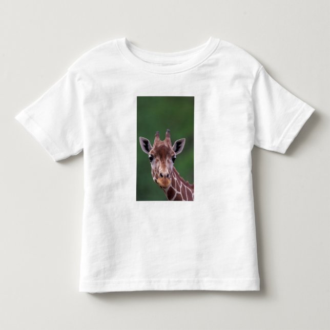 Camiseta De Bebé África, Kenia, Impala Ranch. Reticulada (Anverso)