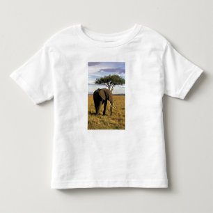 Camiseta De Bebé África, Kenia, Maasai Mara. Un elefante en el