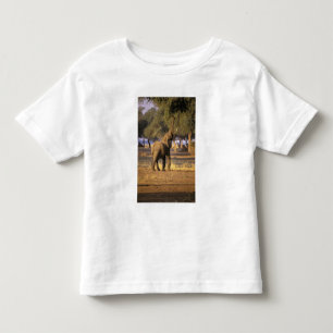 Camiseta De Bebé África, Kenia, Masai Mara. Elefante (Loxodonta