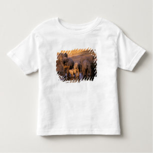 Camiseta De Bebé África, Kenia, Masai Mara. Elefantes (Loxodonta)