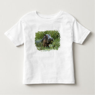 Camiseta De Bebé África, Kenia, Masai Mara NR. Una hipopótama madre