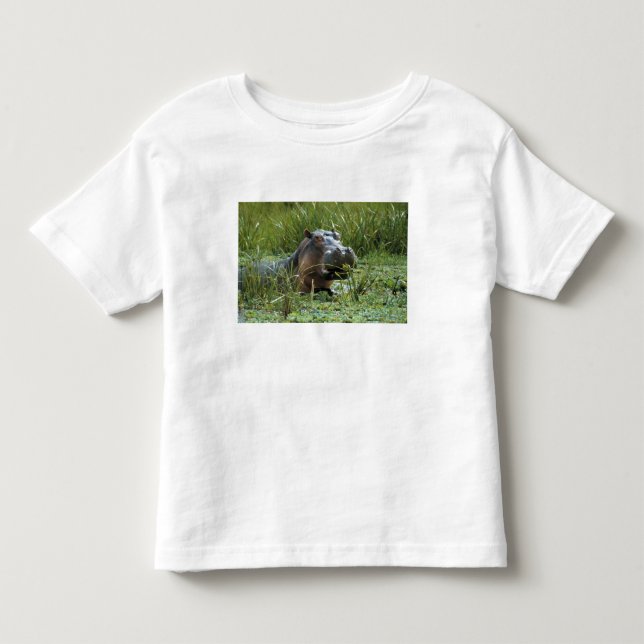 Camiseta De Bebé África, Kenia, Masai Mara NR. Una hipopótama madre (Anverso)