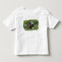 África, Kenia, Masai Mara NR. Una madre hipopótamo