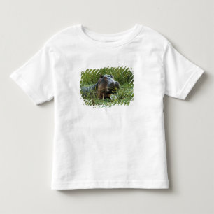 Camiseta De Bebé África, Kenia, Masai Mara NR. Una madre hipopótamo