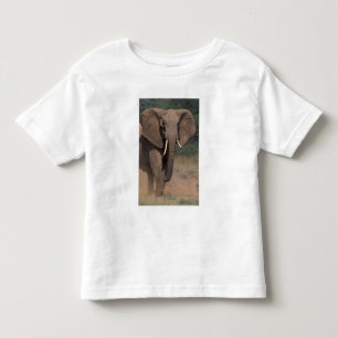 Camiseta De Bebé África, Kenia, Nanyuki, Mpala. Elefante africano.