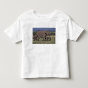 Camiseta De Bebé África, Kenia, Parque Nacional de Amboseli. Africa