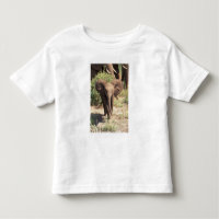 África, Kenia, Parque Nacional de Amboseli. Africa