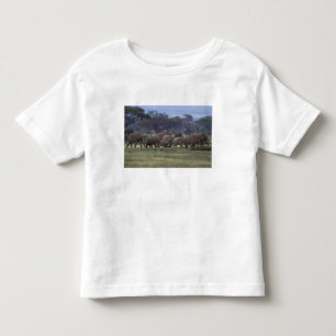 Camiseta De Bebé África, Kenia, Parque Nacional de Amboseli. Africa