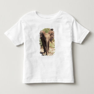 Camiseta De Bebé África, Kenia, Parque Nacional de Amboseli. Africa