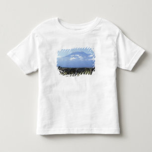 Camiseta De Bebé África, Kenia, Parque Nacional de Amboseli, Manada