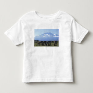 Camiseta De Bebé África, Kenia, Parque Nacional de Amboseli, Manada