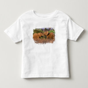 Camiseta De Bebé África, Kenia, Samburu. Desafío del elefante