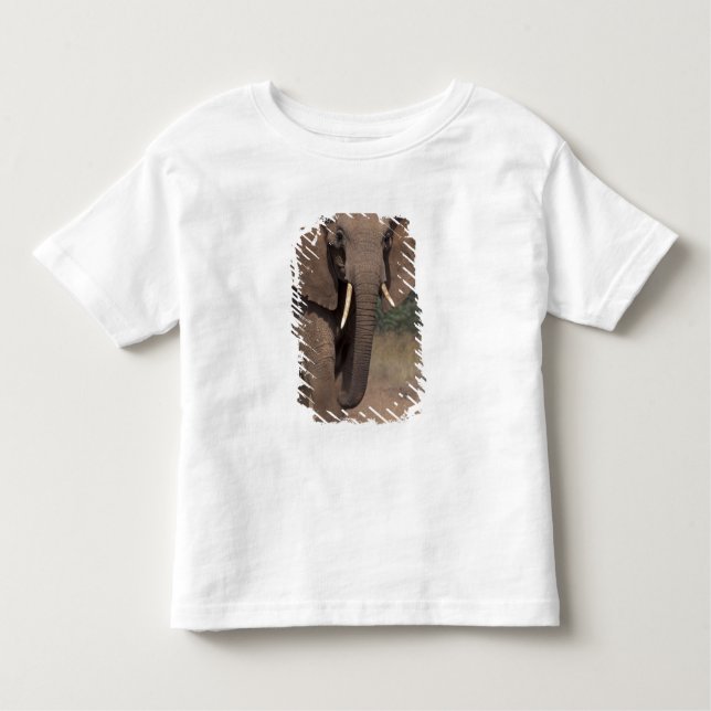 Camiseta De Bebé África, Kenya, Nanyuki, Mpala. Elefante Africano. (Anverso)